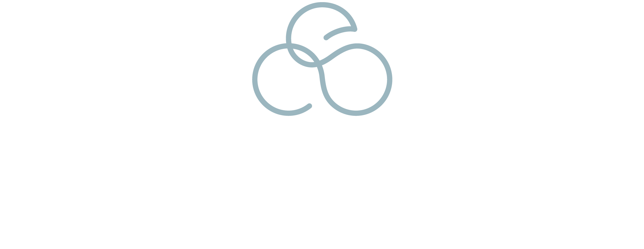 Dr. Eduardo Mendonça Logo